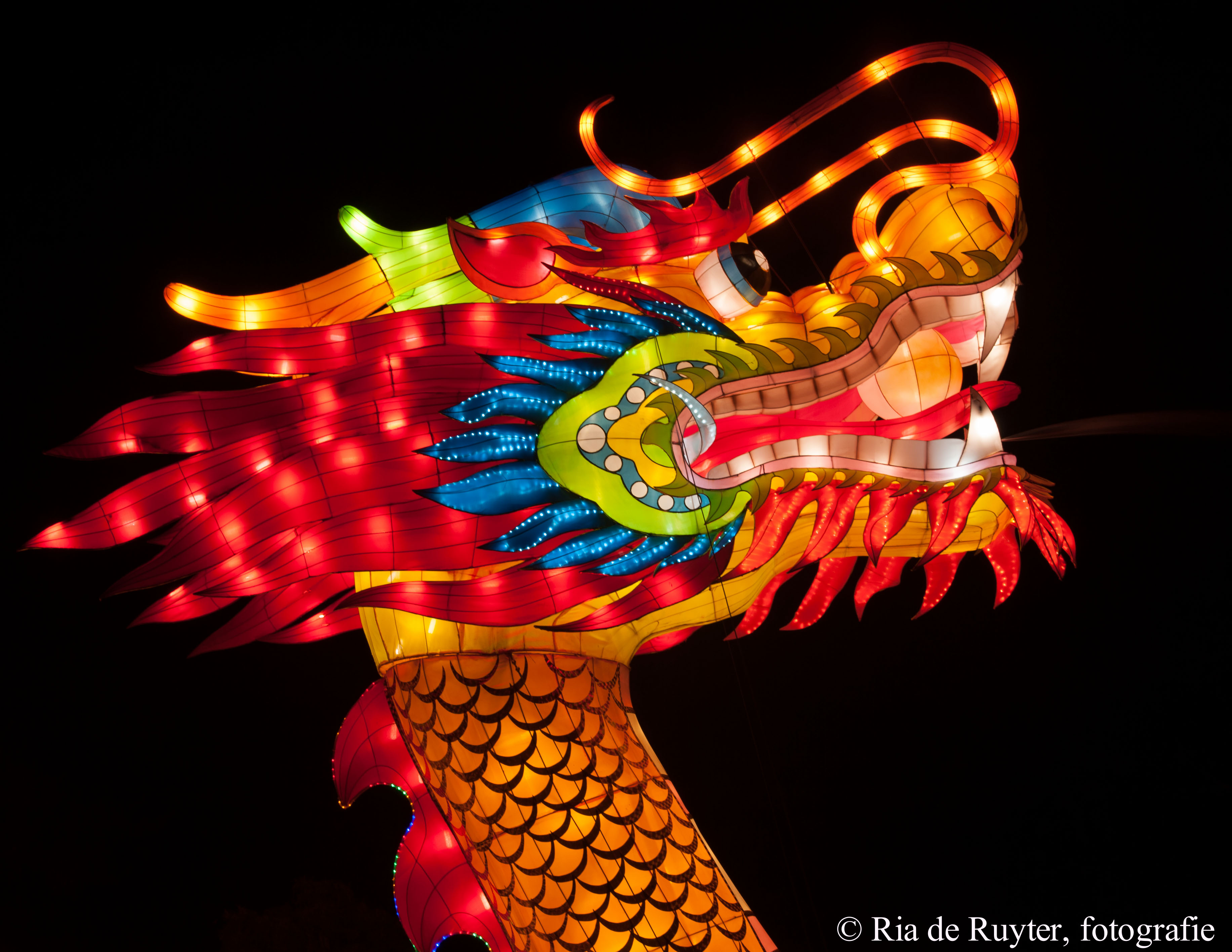 china light-9101.jpg